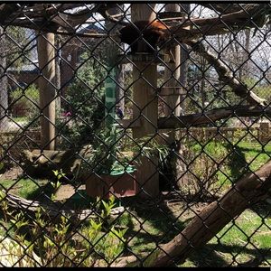 Meet your Posher, Ella